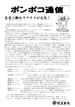 至宝三鞭丸でアチラが元気！