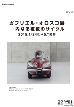 PowerPoint プレゼンテーション