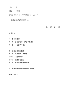 〔論 説〕 2011 年のリビア干渉について ―国際法的観点から―