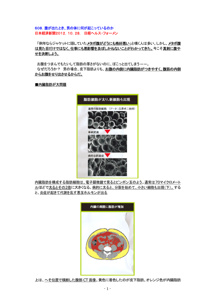 腹が出たとき 男の体に何が起こっているのか 日経ヘルス フォーメン