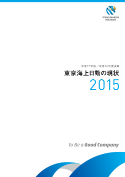 2015年度版 - 東京海上日動