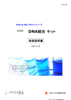 DNA結合キット