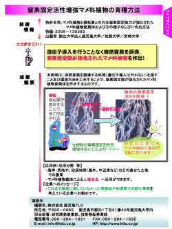 窒素固定活性増強マメ科植物の育種方法
