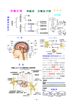 労働生理