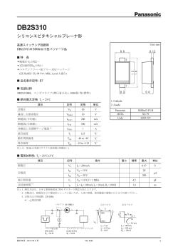 DB2S310 - パナソニック