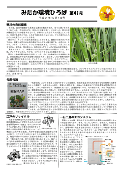 第41号（2012年10月1日発行）（PDFファイル 762KB）