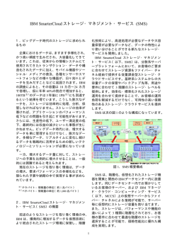 IBM SmarterCloud ストレージ・マネジメント・サービス (SMS)