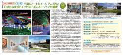 千葉のアートミュージアム巡りと 幻想的な東京ドイツ村のイルミネーション