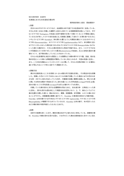 石表面における水生昆虫の巣分布