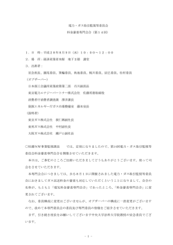 第14回議事録 - 電力・ガス取引監視等委員会