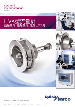 ILVA型流量計 - Spirax Sarco