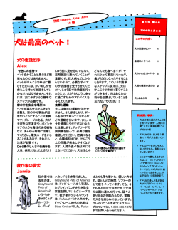 犬は最高のペット