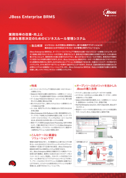 JBoss Enterprise BRMS