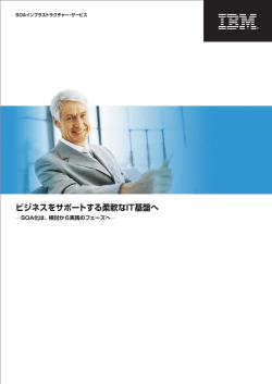 SOA インフラストラクチャー・サービス