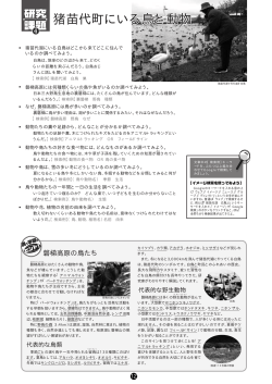 猪苗代町にいる鳥と動物 野生動物の専門家を活用する