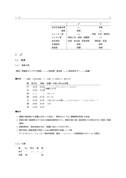 1.1 精巣