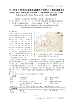 2015 年 12 月 30 日に北海道旭岳奥盤の沢で発生した雪崩の調査報告