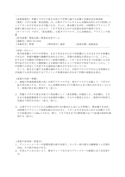 若掘りゴボウの夏