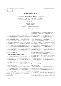 薬物乱用問題の概観[PDF File]