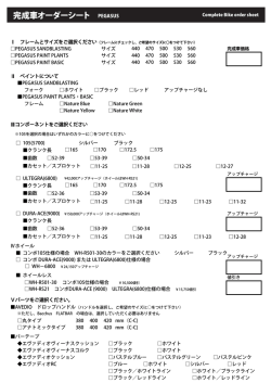 PEGASUS SANDBLASTING サイズ PEGASUS PAINT PLANTS