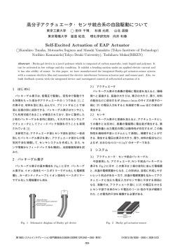 高分子アクチュエータ・センサ統合系の自励駆動について