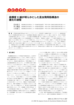 高輝度 X 線が明らかにした昆虫飛翔筋構造の 進化の過程