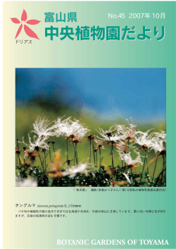 No.45 2007年10月