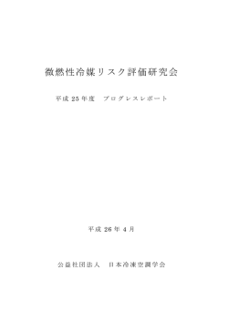 微燃性冷媒リスク評価研究会