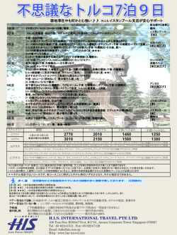 2770 2010 1460 1250 3010 2150 1580 1380 HIS INTERNATIONAL