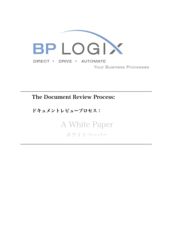 Document Review Process_japanese