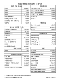自費診療料金表(税抜き) ※は内税