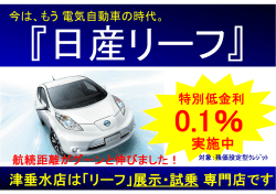 Page 1 Page 2 ご購入サポート!! ｰっの字 でしよ! ﾘ｡ ※ リーフ限定!! 型 を