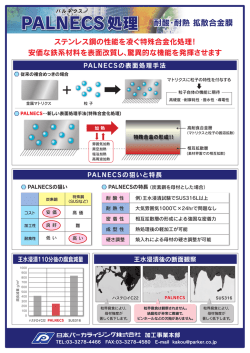 PALNECS処理 耐酸・耐熱 拡散合金膜 耐酸・耐熱 拡散合金膜