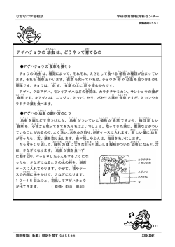 アゲハチョウの幼虫は、どうやって育てるの