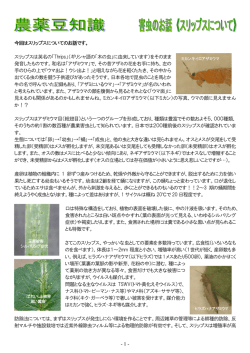 -1- 今回はスリップスについてのお話です。 スリップスは英名の「Thrips