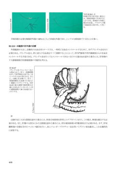 Part 4 - 赤十字国際委員会