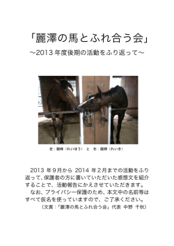 2013年度