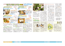 狛江ランチ逸品コンテスト参加店①、折おりの花～狛江の植物