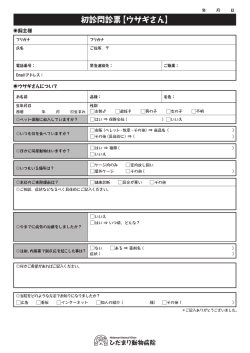 初診問診票【ウサギさん】