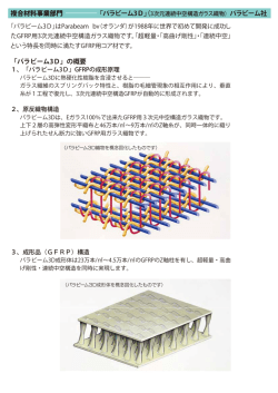 「パラビーム3D」の概要