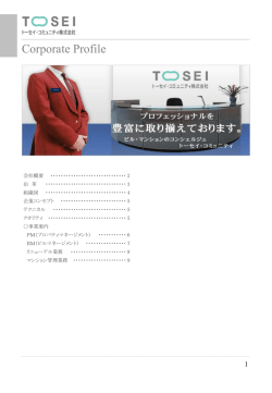 PowerPoint プレゼンテーション