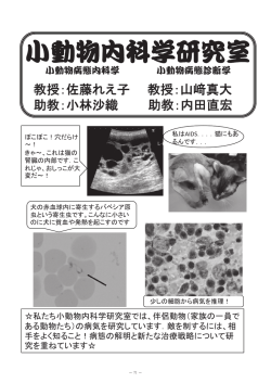研究室pdf