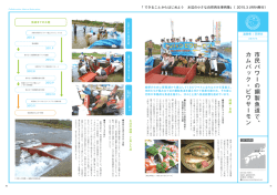事例6-天野川/滋賀 （PDF 485KB）