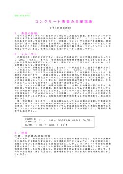 PDFダウンロード