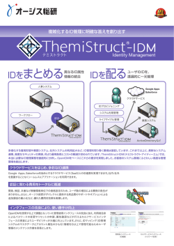 ThemiStruct-IDMパンフレット