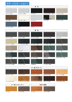 カラーバリエーション①