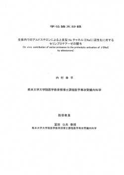 論文要旨 - 熊本大学