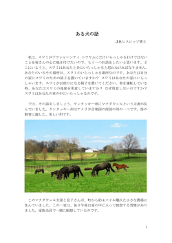ある犬の話