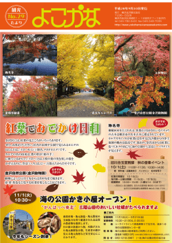 紅葉でおでかけ日和 - 横浜金沢観光協会