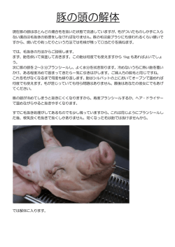 豚の頭の解体